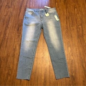 tgla Jeans Stitch fix Joy Skinny Jean New NWT 16 raw hem